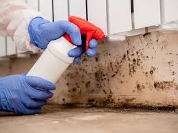 Best Airborne Mold Testing  in Holyoke, MA